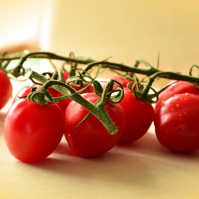best quality korea tomato fresh vegetable mini cherry red
