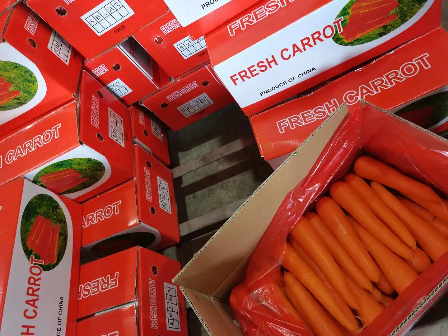 Red Orange Color Carrot Buy Fresh Carrots,Carrot Grater,Carrot Seed Oil Product on