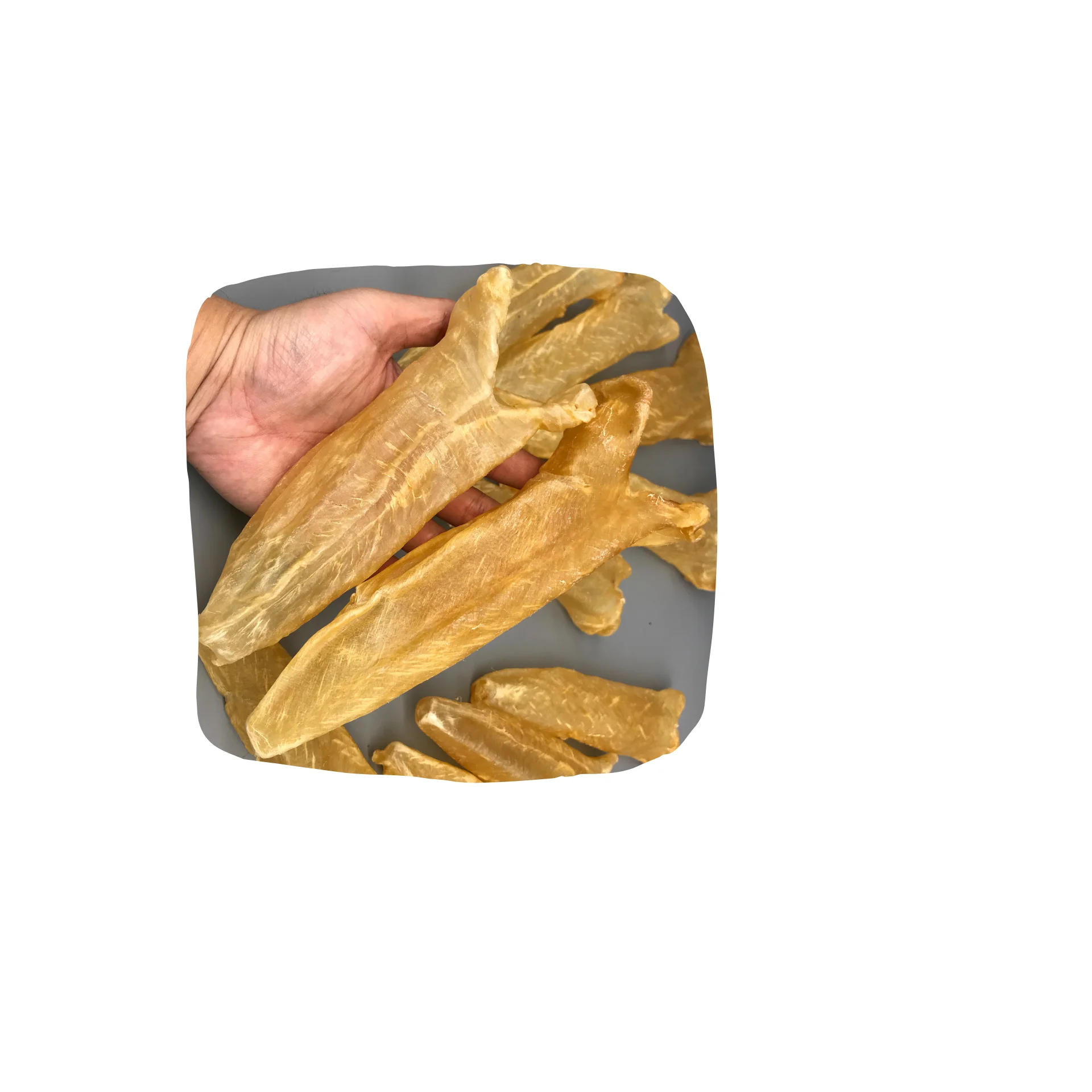 Fish Maw Dried Fish Maw Daisy Whatsapp 84 379 924 704 Buy Fish Maw Dry Fish Maws Dried Fish Maw Dried Fish Maws Bangladesh Fish Maw Price Eel Fish Maw Fish Maw Pakistan Nile Perch Fish Maw Fish Maw Price In