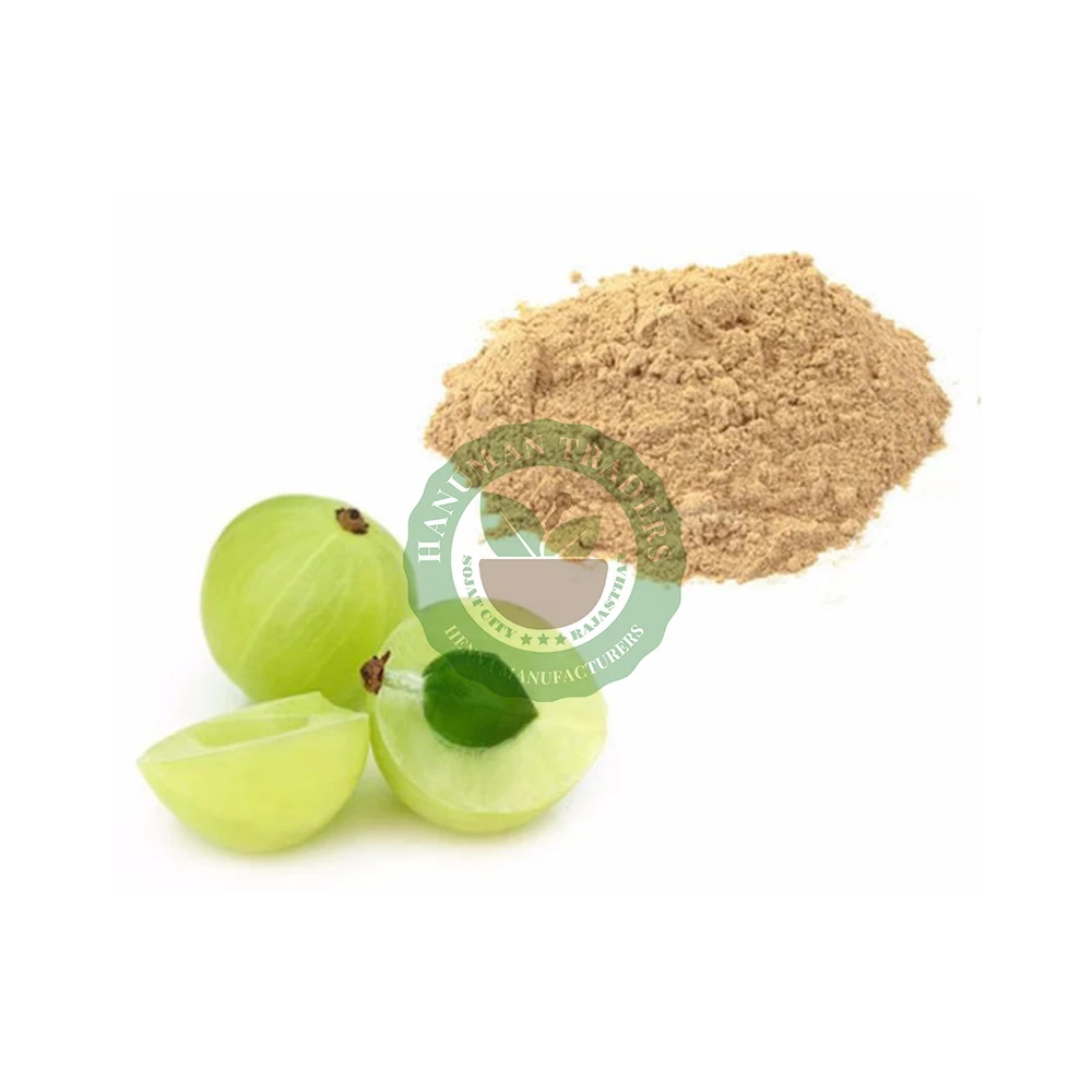 Pure Natural Indian Gooseberry Amla Powder For Hair Care Products Best  Quality Gooseberry Wholesale Dealer From India - Buy Amla Powder Amla  Powder For Hair Amla Reetha Shikakai Powder Amla Powder Price