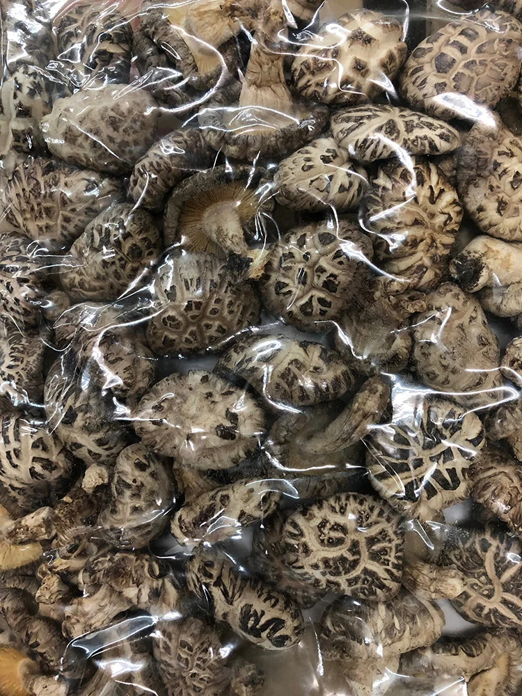 Сушеные замороженные грибы из дикой коричневой еды