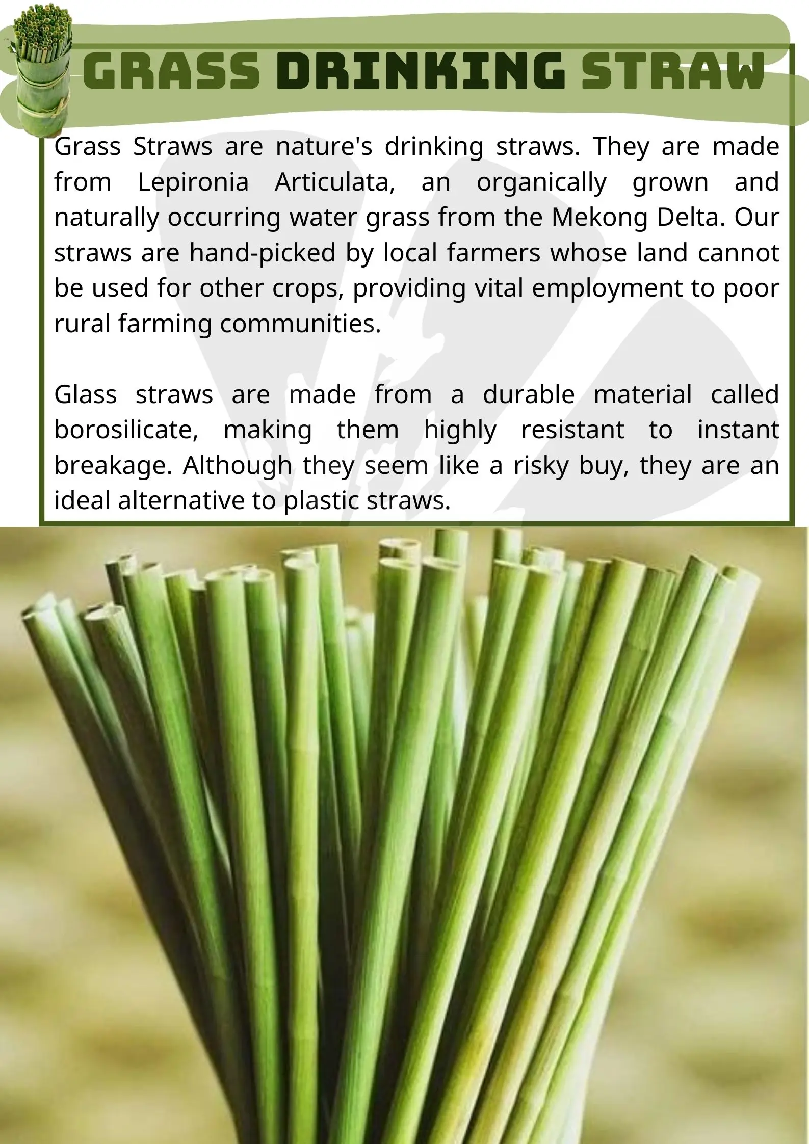 Grass Drinking Straws - Great Prices, Buy Now