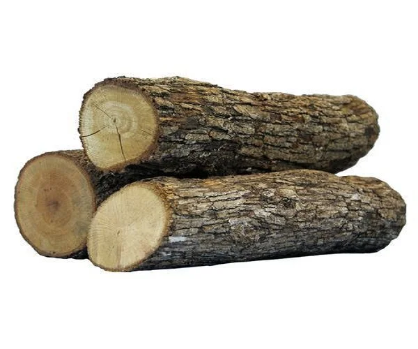 Quality Pine Wood Logs Caribbean Pine Logs Buy Yellow Pine Logs Product On Alibaba Com