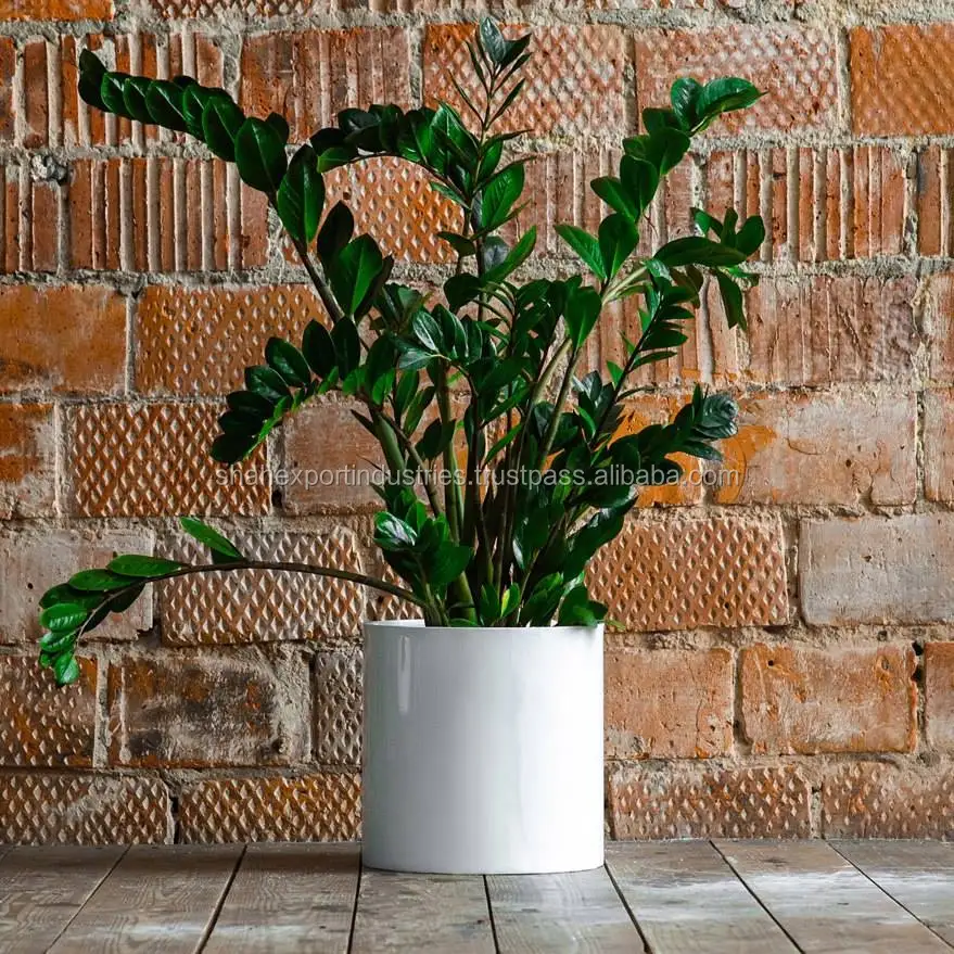 Foyer Large Outdoor Planters with Small Planting Pots Indoor&Outdoor Rectangular Flower Pots for Front Door Patio and Deck White