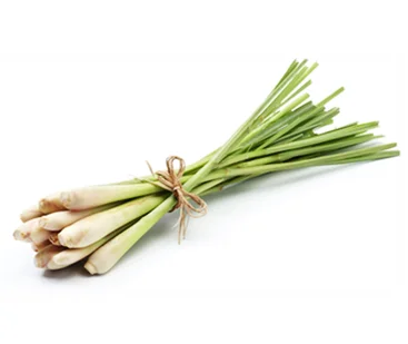 Source VIET NAM FROZEN LEMONGRASS on m.alibaba.com