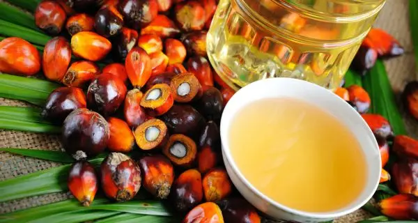Wholesales unrefined pure crude raw coconut oil cheapest price high quality made in Vietnam