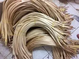 Лучший корень лотоса/свежий