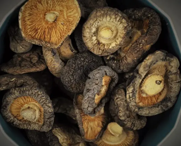 Вьетнамский высококачественный гриб SHIITAKE/волшебные