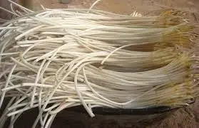 Лучший корень лотоса/свежий