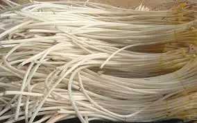 Лучший корень лотоса/свежий