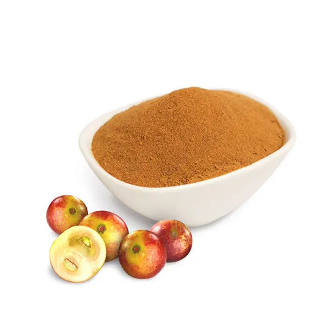 pulp powder - buy camu camu extract,camu camu pulp powder,camu