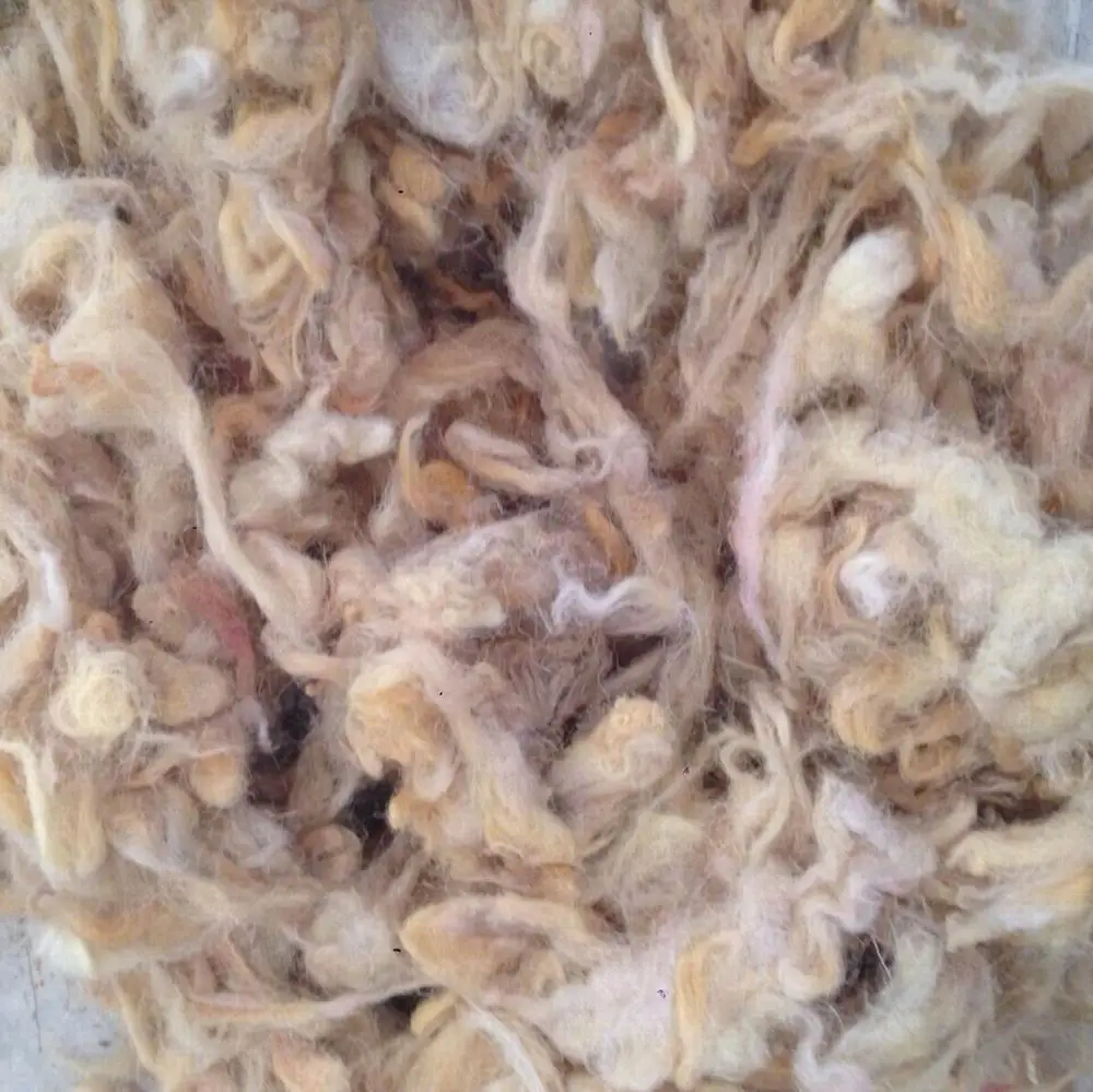 
Raw wool/ Wool fiber 