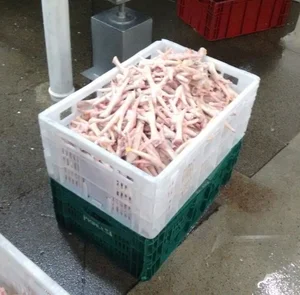 Hot Selling Export Quality Frozen Chicken Feet and Frozen Chicken Paws Grade a From India and Gulf...