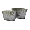 galvanize