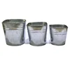 galvanize