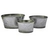 galvanize