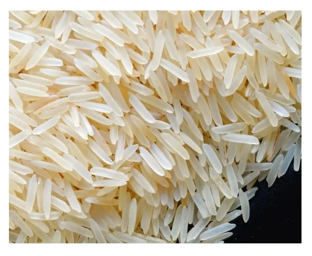 1121 Best Golden Basmati Rice Manufacturer And Exporter Of Golden Rice ...