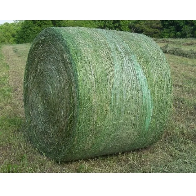 Buy High Quality Premium Alfalfa Hay Alfalfa Hay Price Alfalfa Hay Bales Buy High Quality Alfalfa Hay For Sale Alfalfa Hay Bales For Sale Hay And Alfalfa Product On Alibaba Com