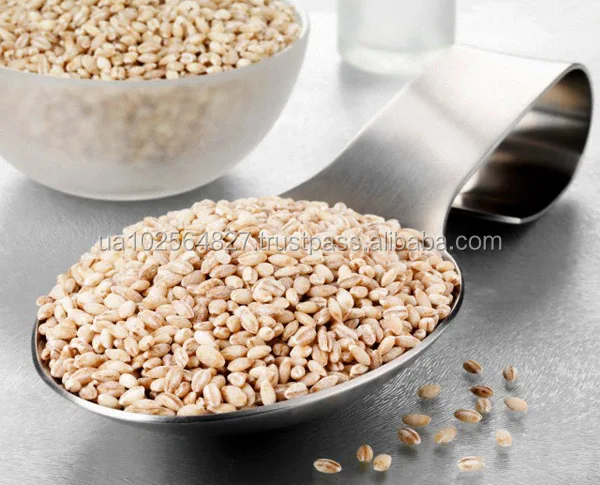 pearl barley from ukraine in containers