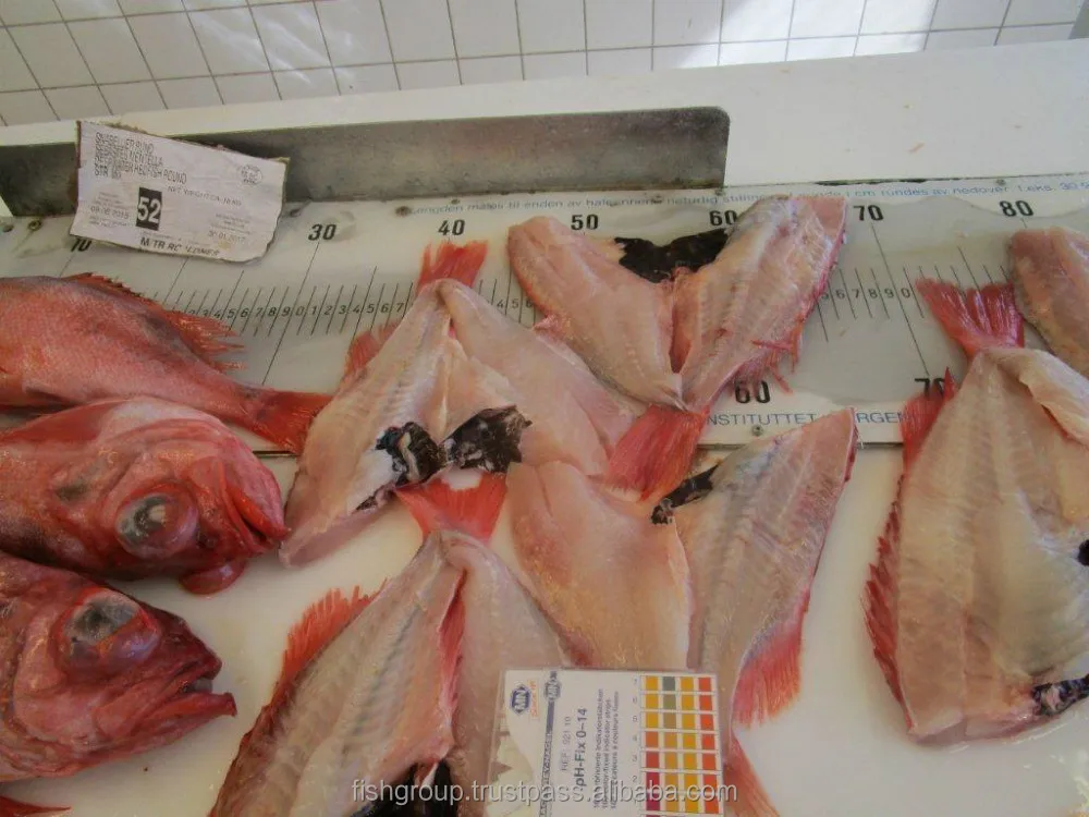 Premium Quality Fresh Organic Low Sodium Low Transfat Frozen Whole Redfish From Singapore Buy