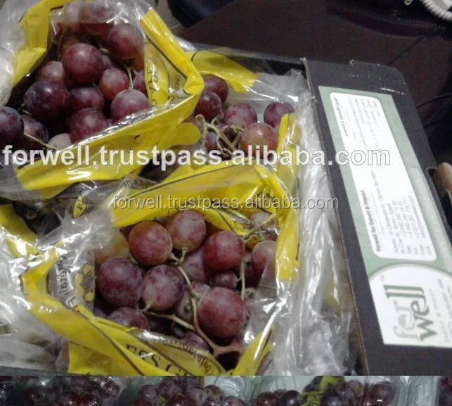 Tasty Fresh Seedless Grapes (Flame & Superior) Class