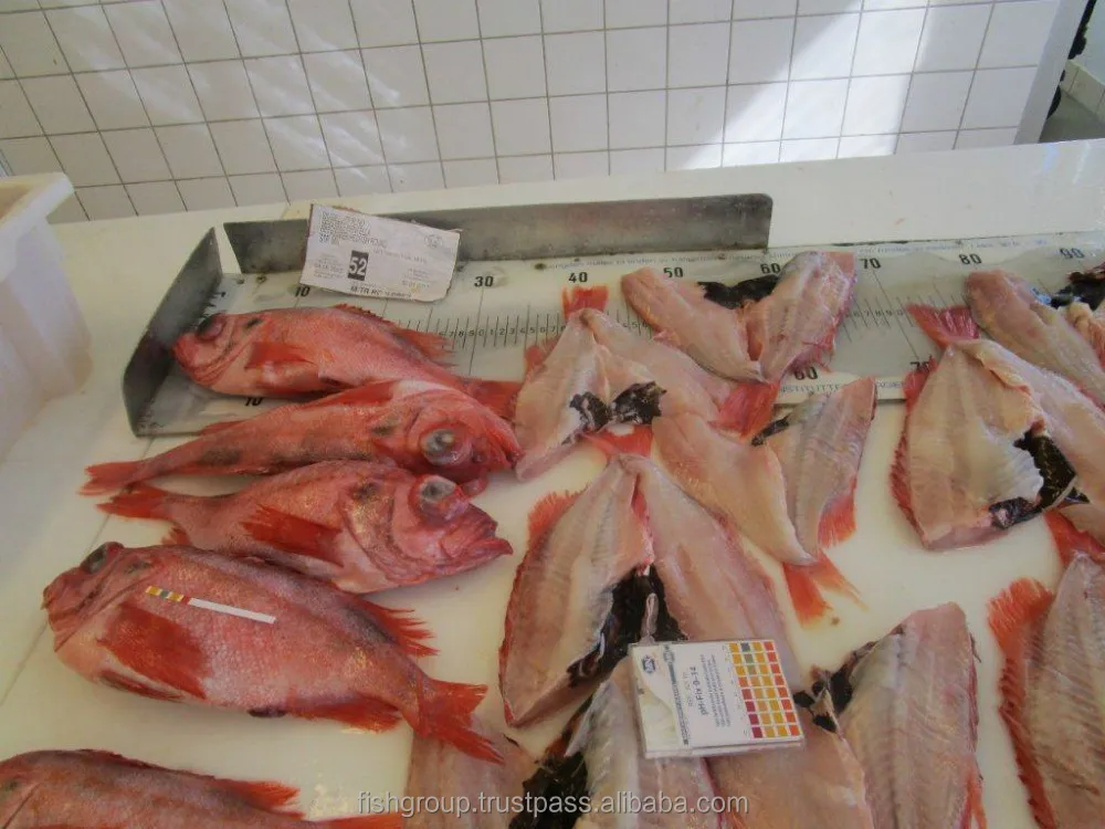 Premium Quality Fresh Organic Low Sodium Low Transfat Frozen Whole Redfish From Singapore Buy