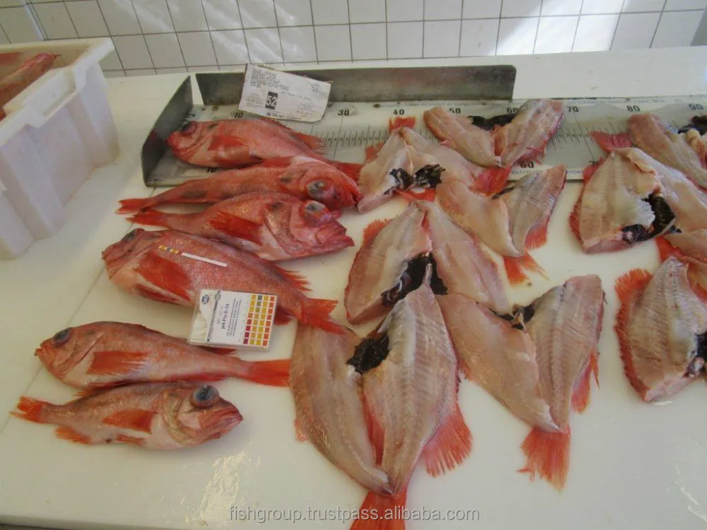 Premium Quality Fresh Organic Low Sodium Low Transfat Frozen Whole Redfish From Singapore Buy