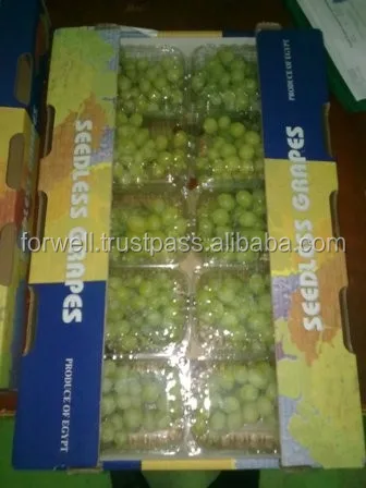 Tasty Fresh Seedless Grapes (Flame & Superior) Class