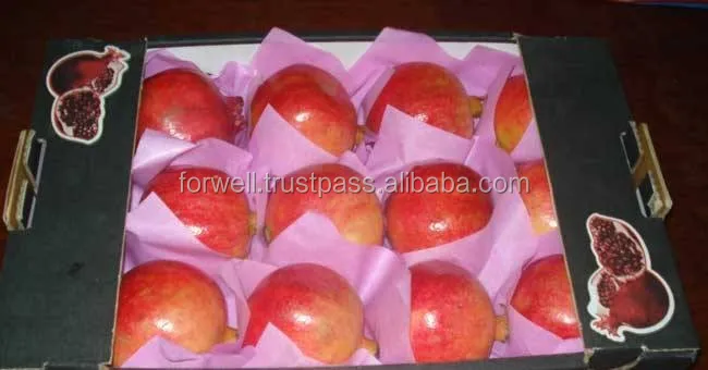 Pomegranate Type and Fresh Style Egyption