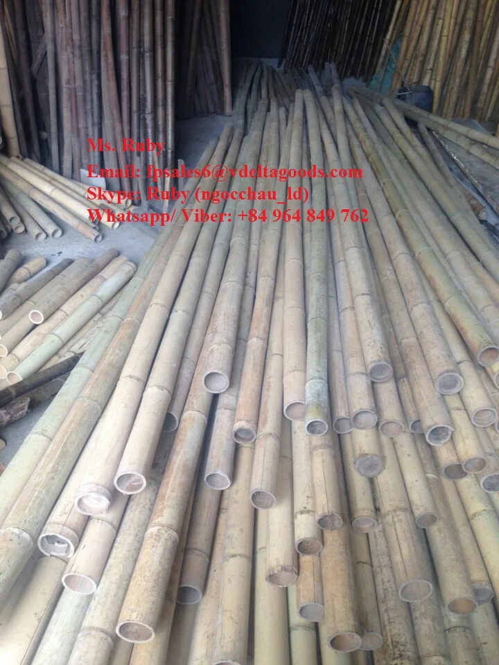 BAMBOO for GARDEN & HOME DECORATION-HIGH QUALITY FROM VIETNAM