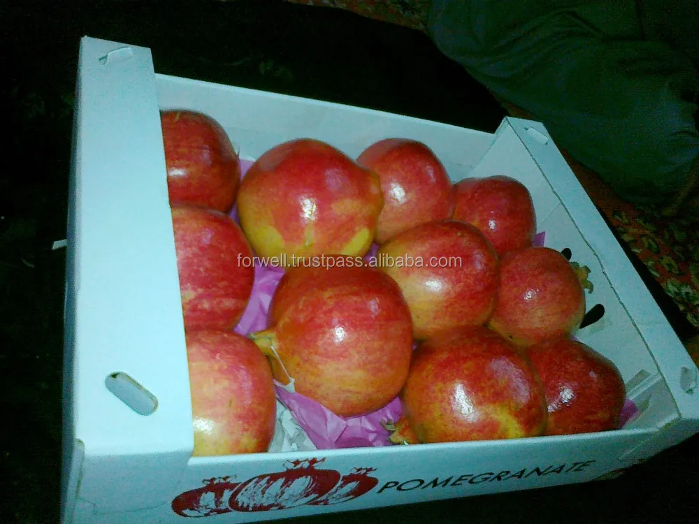 Pomegranate Type and Fresh Style Egyption