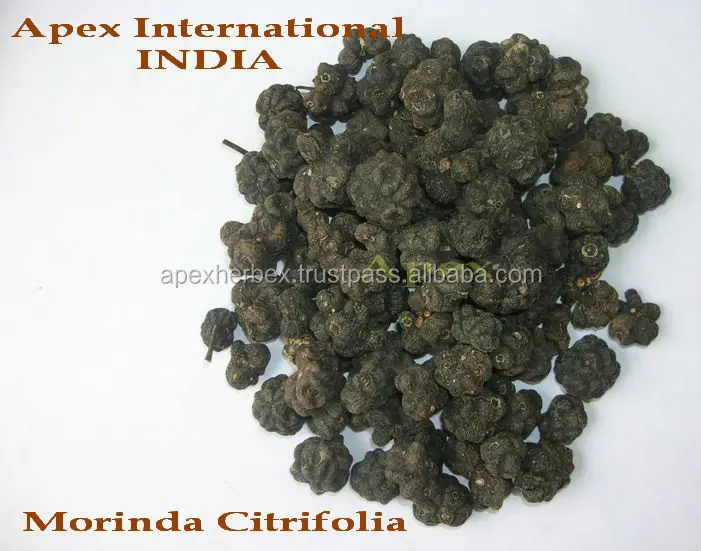 Morinda Citrifolia Noni Fruits Premium Quality Natural Dried Pesticide ...