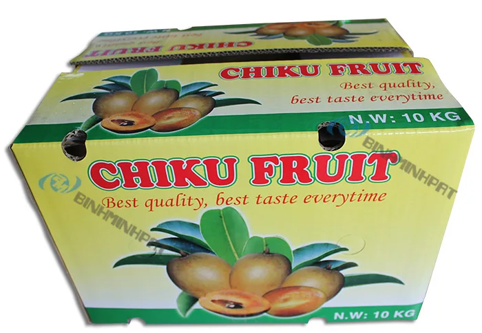 Fruit Packaging Corrugated Carton Box Paper for Chiku Fruit Export
