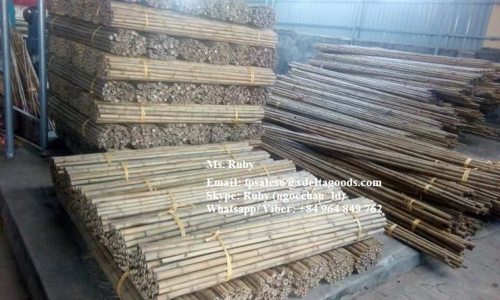 BAMBOO for GARDEN & HOME DECORATION-HIGH QUALITY FROM VIETNAM