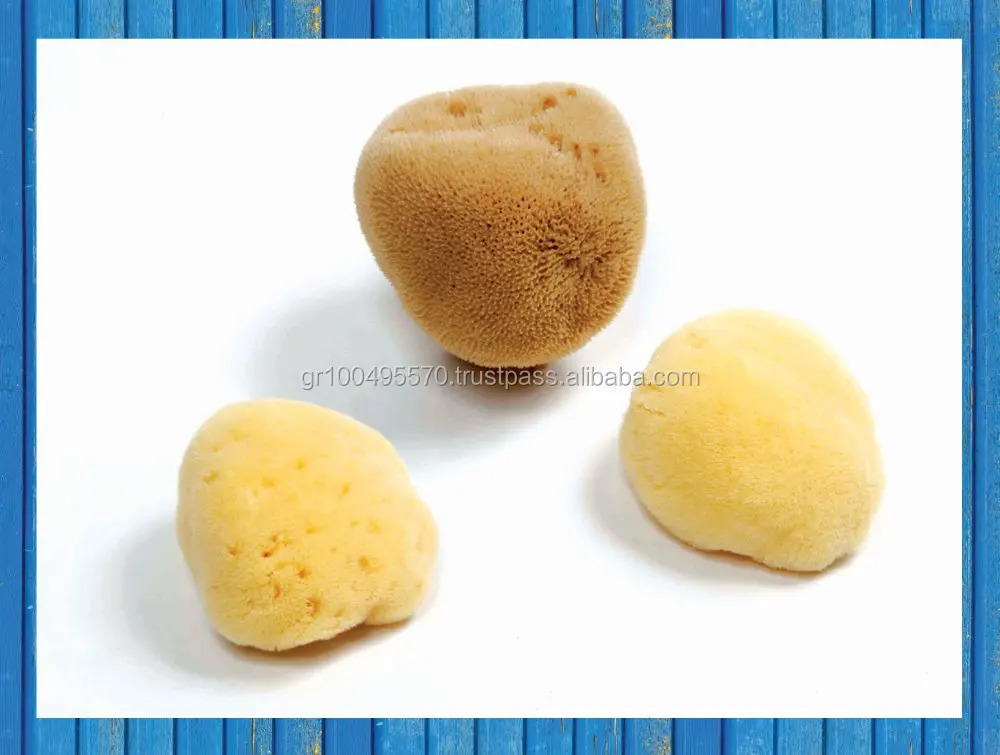 "silk Fine" Natural Sea Sponges For Facial Care Buy Natural Sea