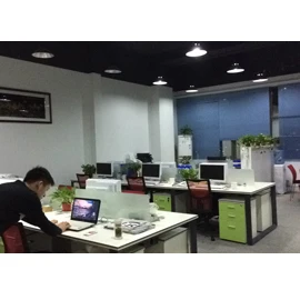 Shenzhen Ho-link Technology Co., Limited 2