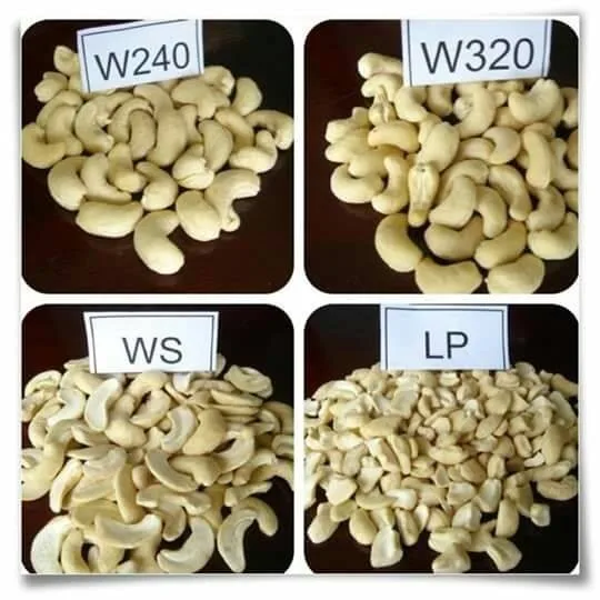 Cashew Nut Kernel Selected Nuts Ww 240/320/450/lp/sp/bb With Very Good