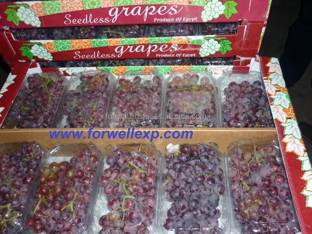 Tasty Fresh Seedless Grapes (Flame & Superior) Class