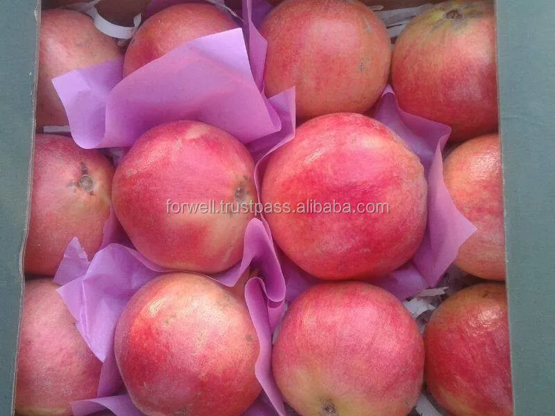Pomegranate Type and Fresh Style Egyption