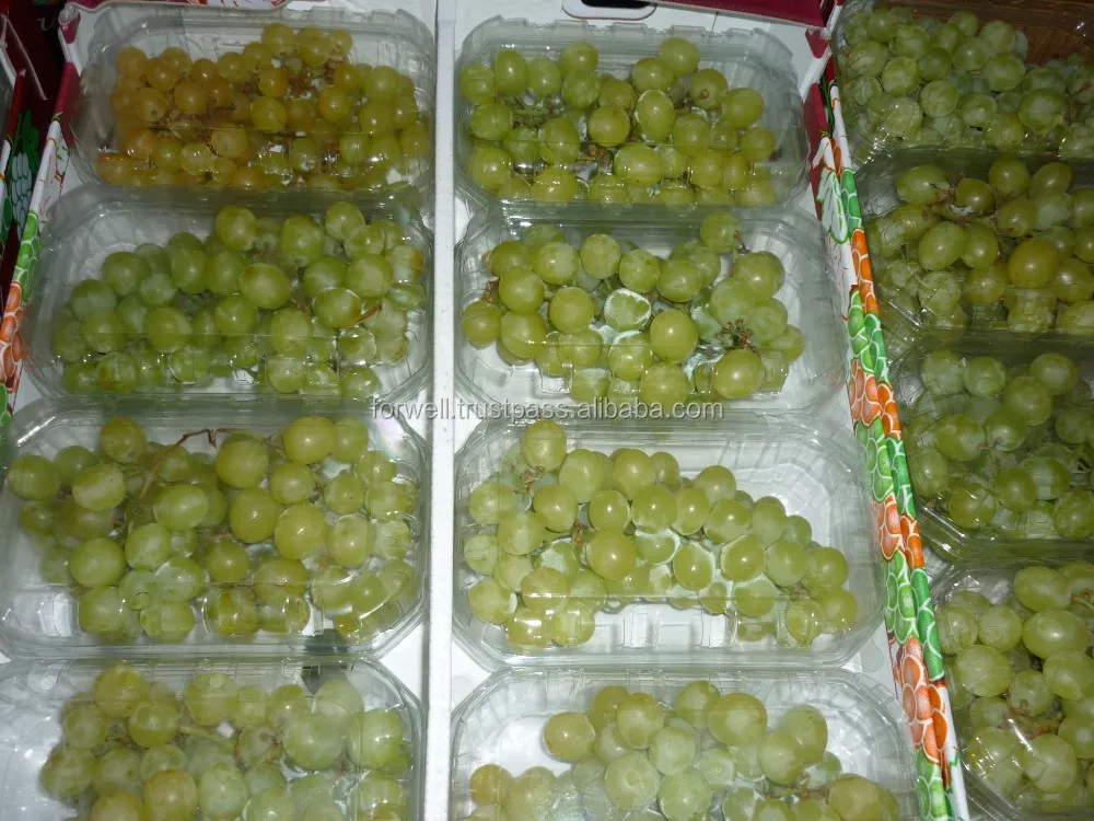 Tasty Fresh Seedless Grapes (Flame & Superior) Class