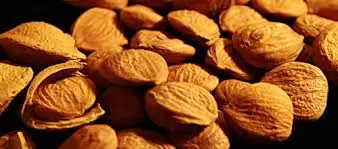 Grade A Apricot