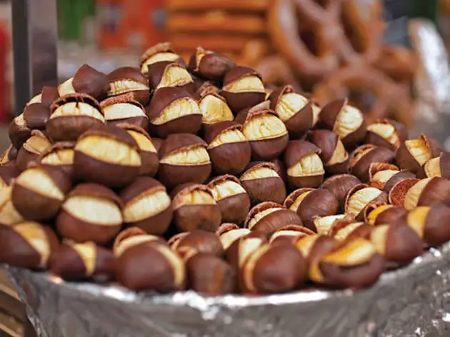 VIETNAM WHOLE SALE COMPETITIVE PRICE CHESTNUT
