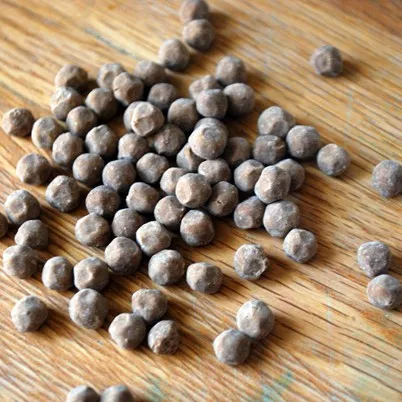 Органический вьетнамский жемчуг tapioca по стандарту Тайваня