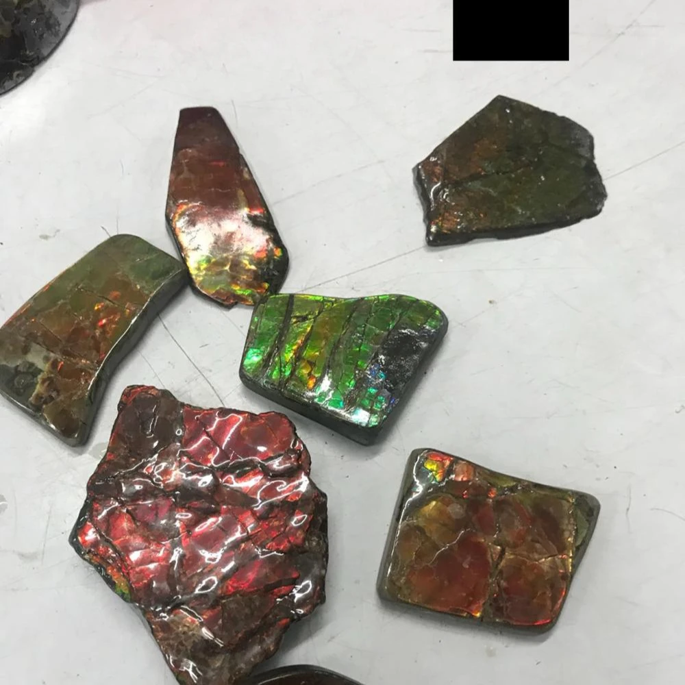 Ammolite Raw Rough Natural Stone Uncut Wholesale High Quality and Factory Price