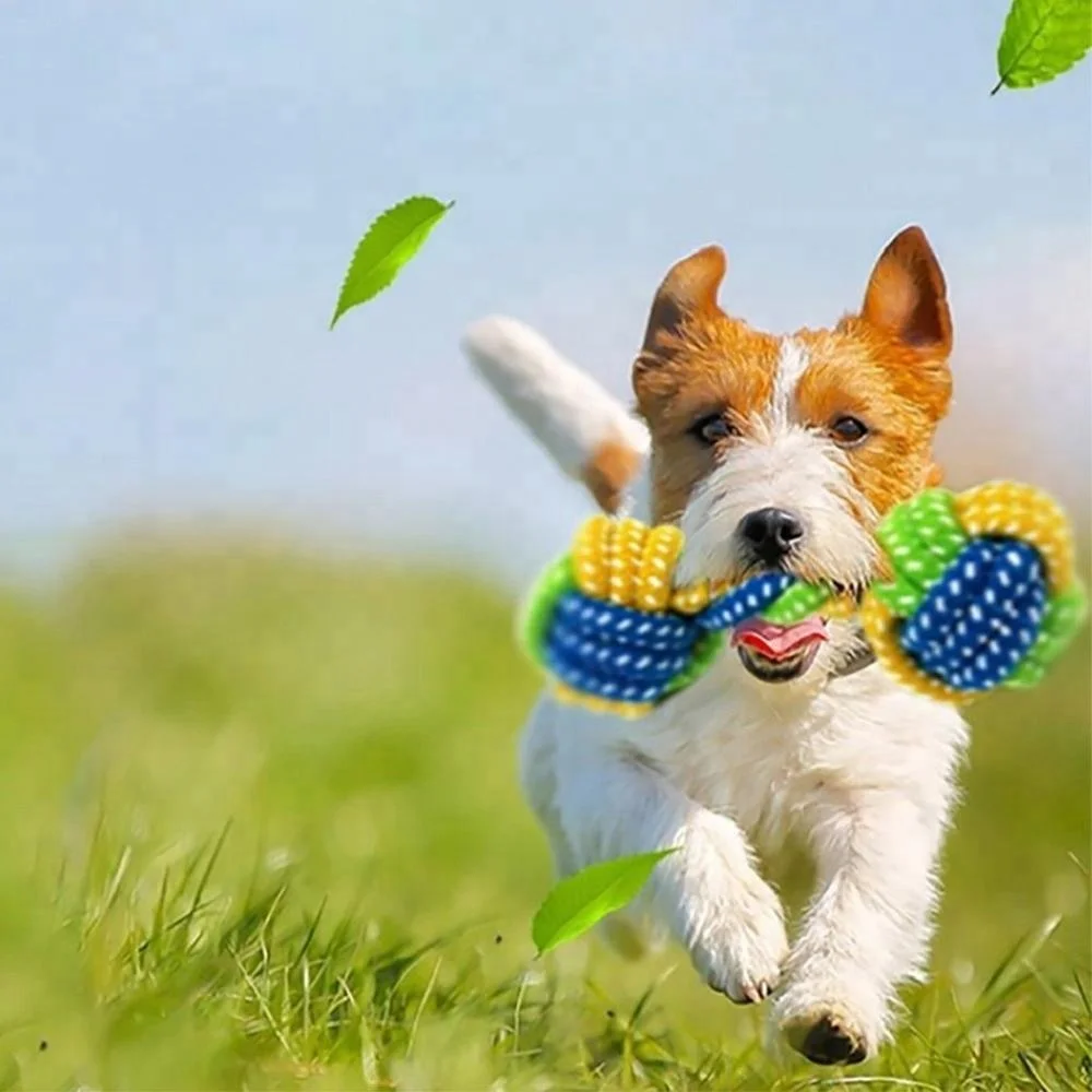 
 Odontoprisis, игрушка для домашних питомцев, Жевательная хлопковая веревка, узел, шар, зубная щетка, питомцы, шлифовальные зубы, игрушки для питомцев, для укуса чистых зубов, экологически чистые  