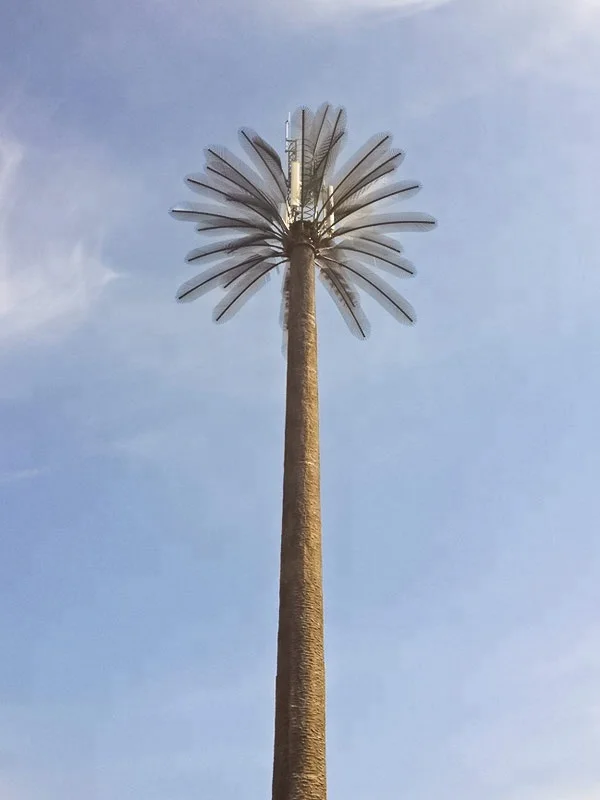 product-1-1 product-1-1