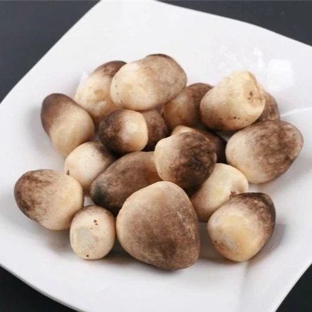 Straw Mushroom Supplier,Trader,Exporter, Vietnam