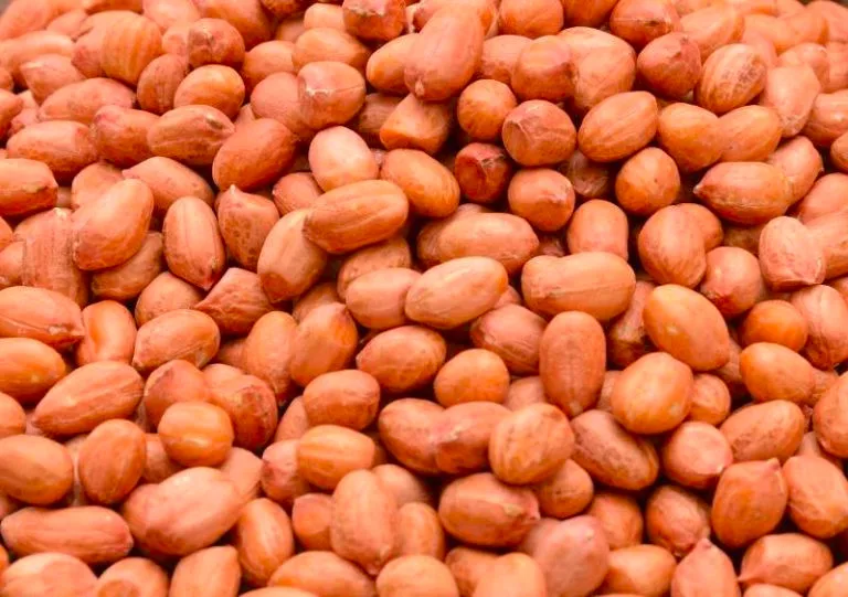 
 Индийский свежий арахис  