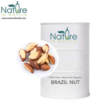 Brazilnut Oil | Brazil Nut Oil | Bertholletia excelsa - 100% Pure and Natural Essential Oils - Wholesale Bulk Price
