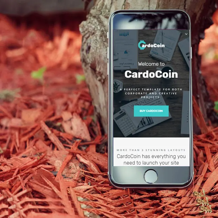 Разработка финансовых/банковских приложений компанией ProtoLabz eServices | Лучшая компания по разработке и разработке приложений